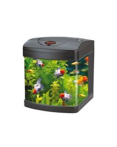 X CUBE LT.26
